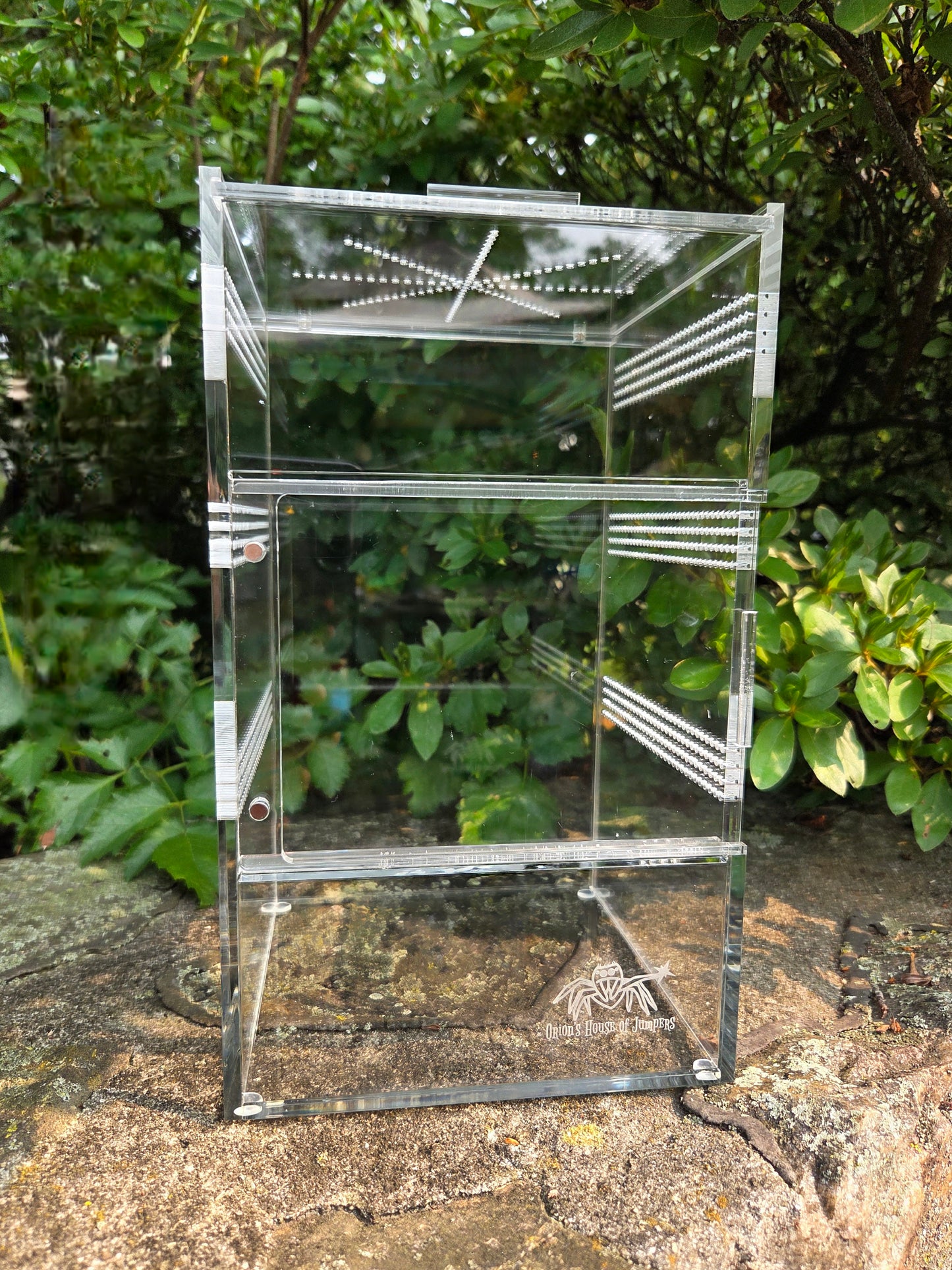 Front Opening Arboreal Jumping Spider Enclousure 6x6x10 inch