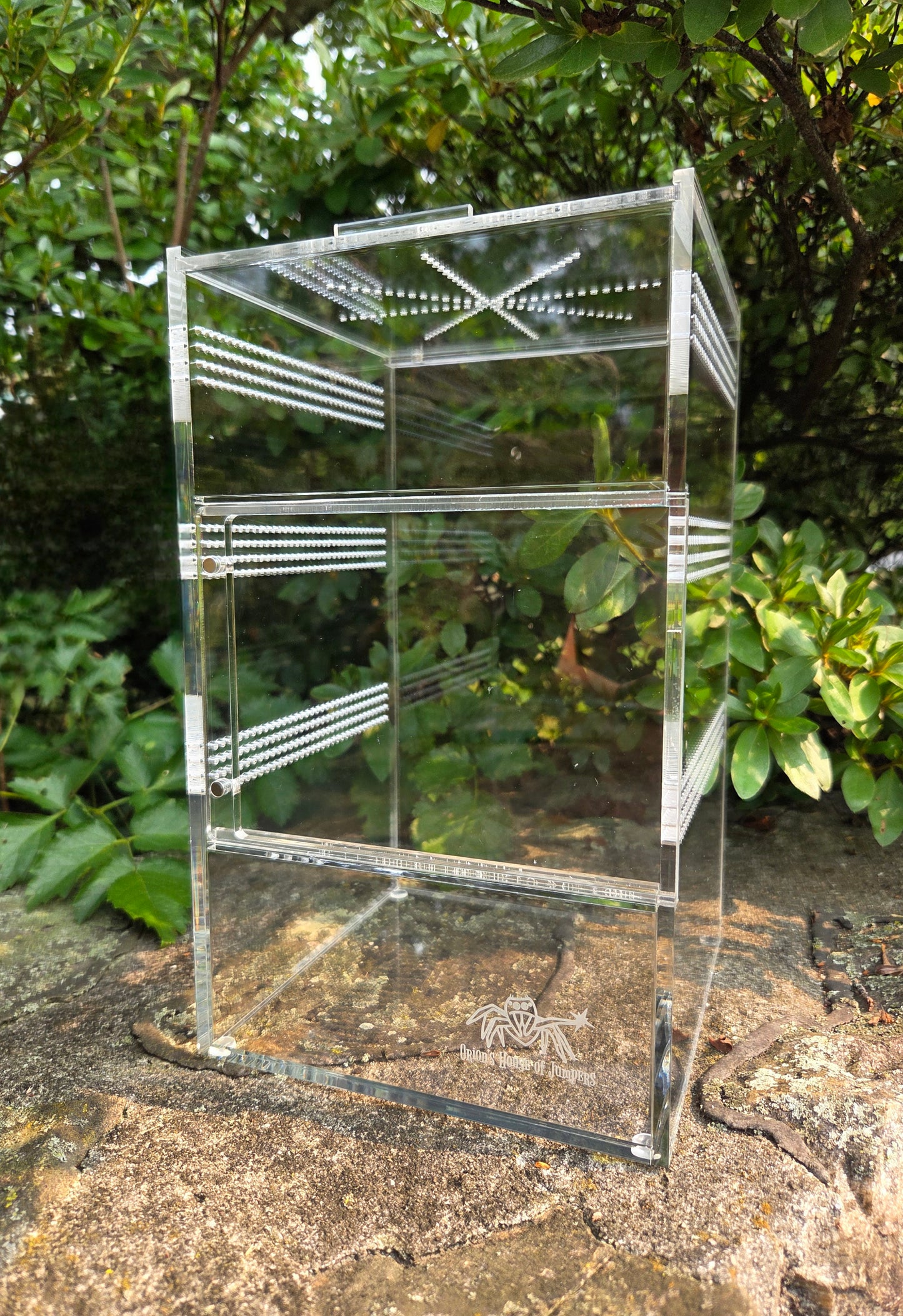 Front Opening Arboreal Jumping Spider Enclousure 6x6x10 inch