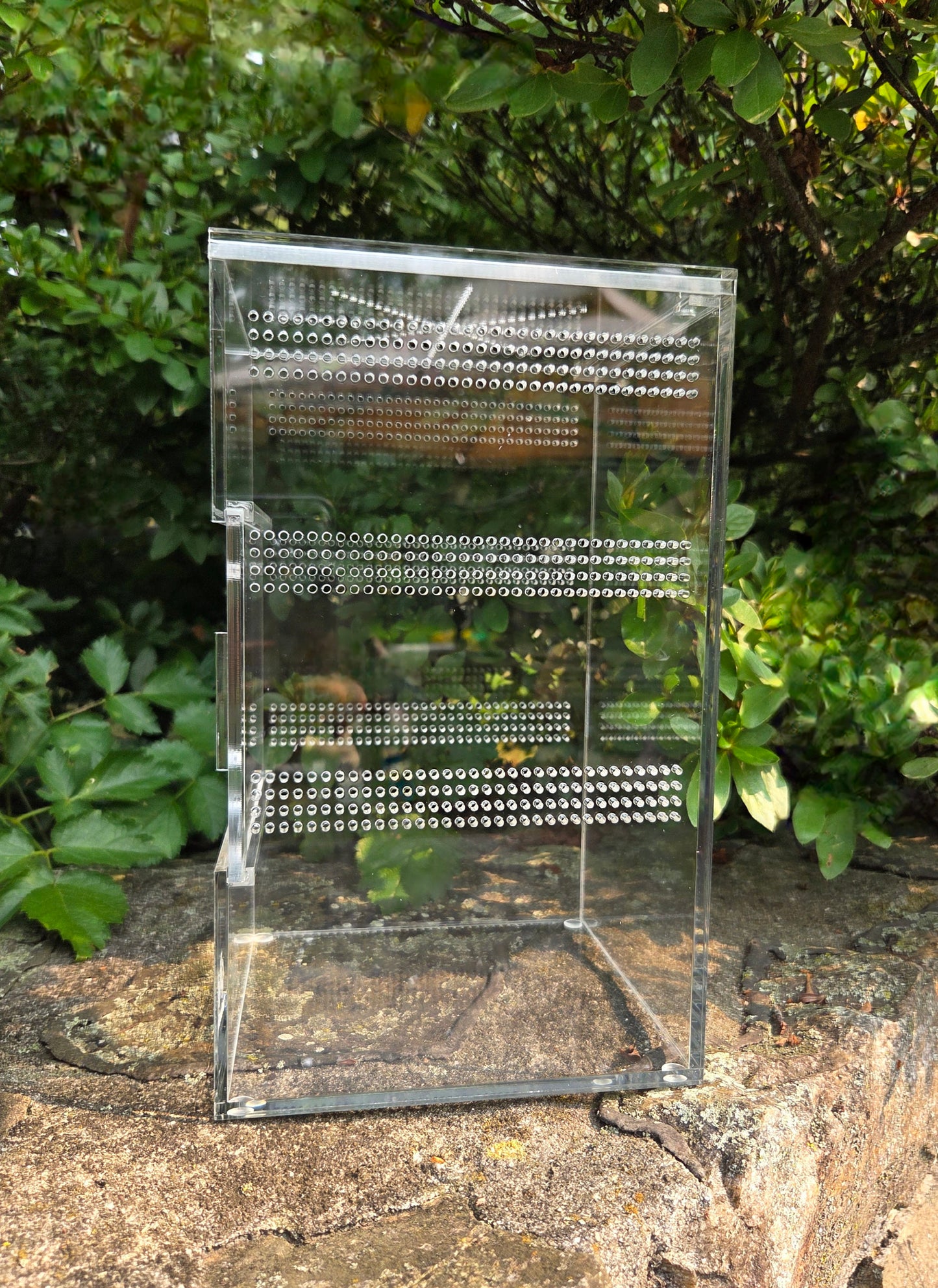 Front Opening Arboreal Jumping Spider Enclousure 6x6x10 inch