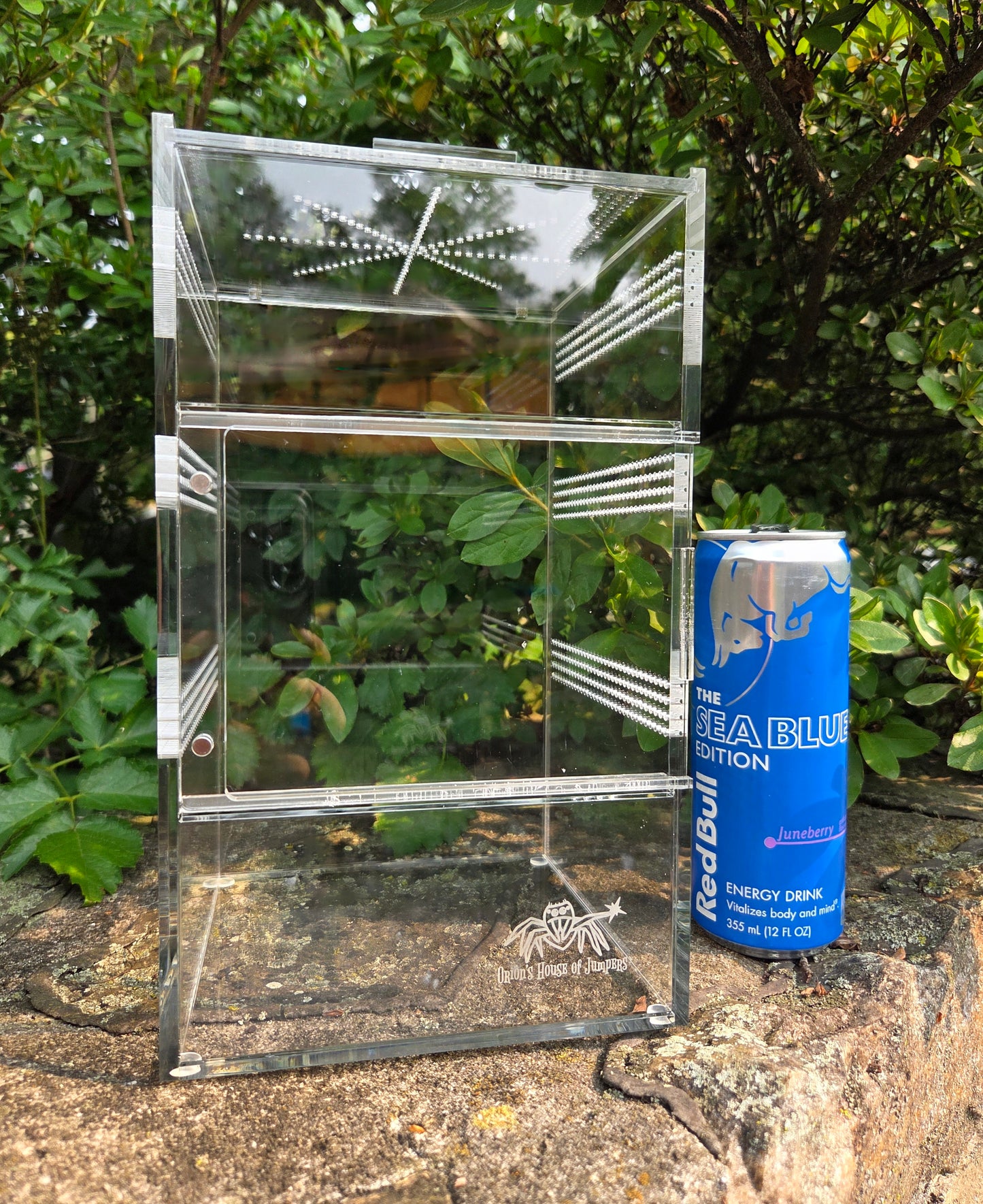 Front Opening Arboreal Jumping Spider Enclousure 6x6x10 inch