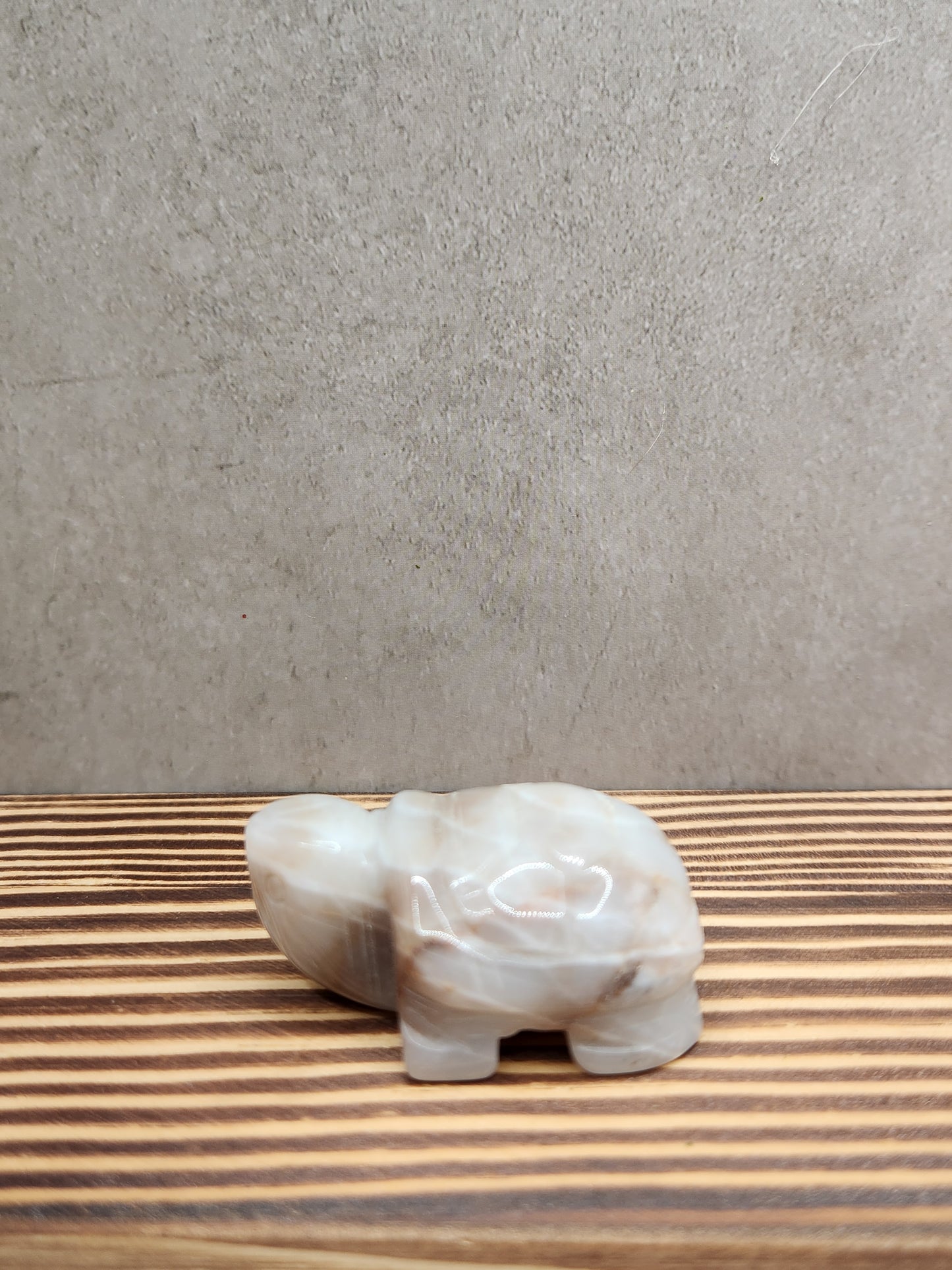 Flower Agate Natural Crystal Turtle Carving