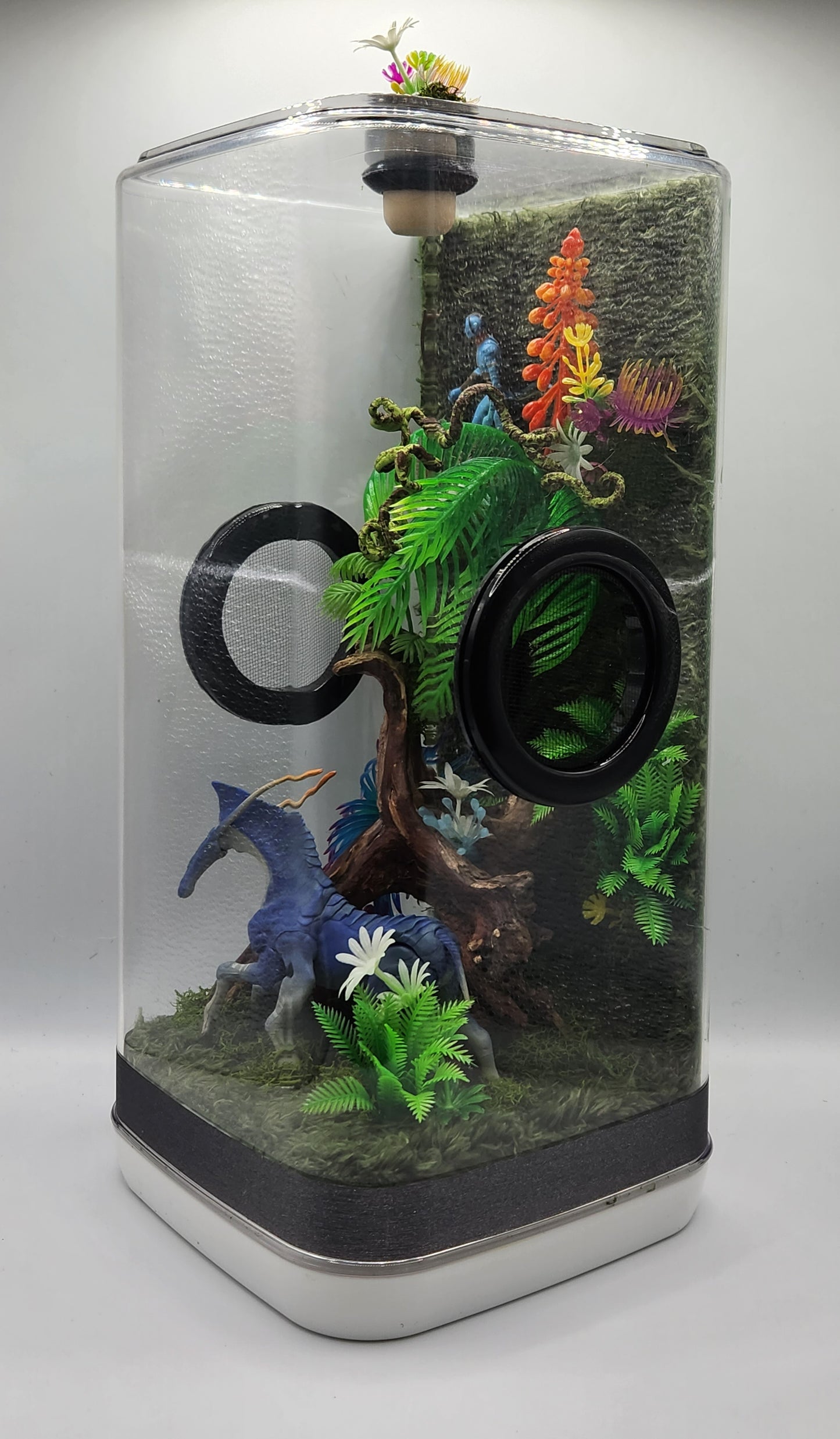 6"x6"x12" Tall Avatar Themed Jumping Spider Enclosure