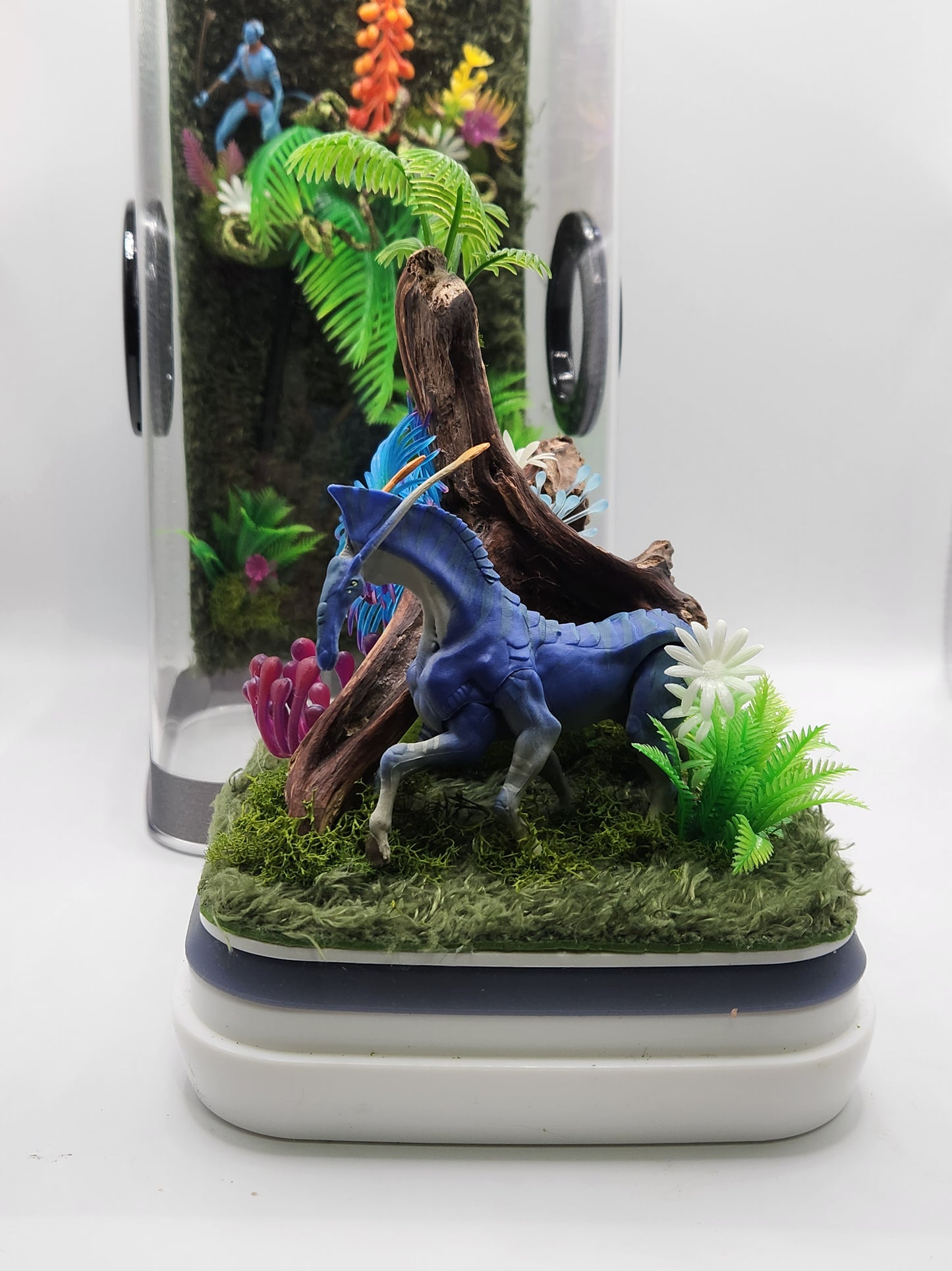 6"x6"x12" Tall Avatar Themed Jumping Spider Enclosure