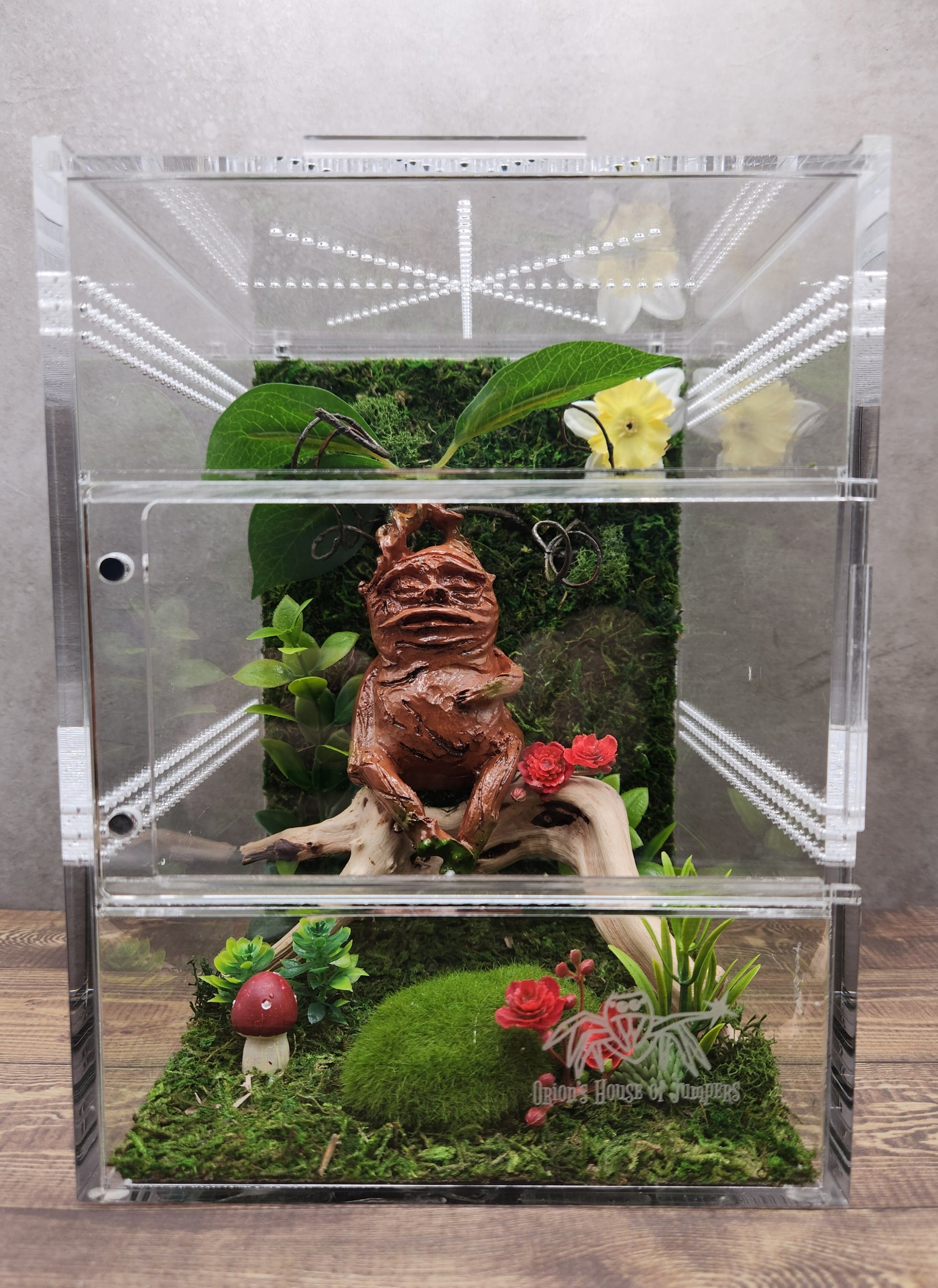 plants for jumping spider enclosure Mandrake Themed Front Opening Jumping Spider Enclosure 6x6x8" – Orion's House Of Jumpers