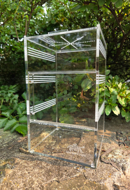 Front Opening Arboreal Jumping Spider Enclousure 6x6x10 inch