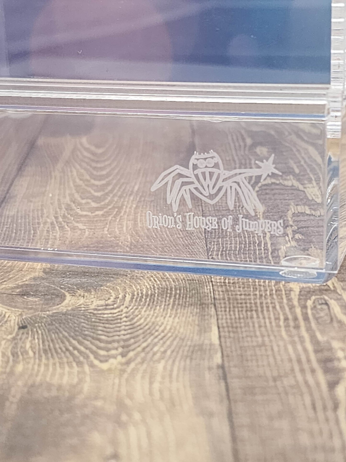 Orion's Jumper House Front Opening Jumping Spider Enclosure 6x6x9"