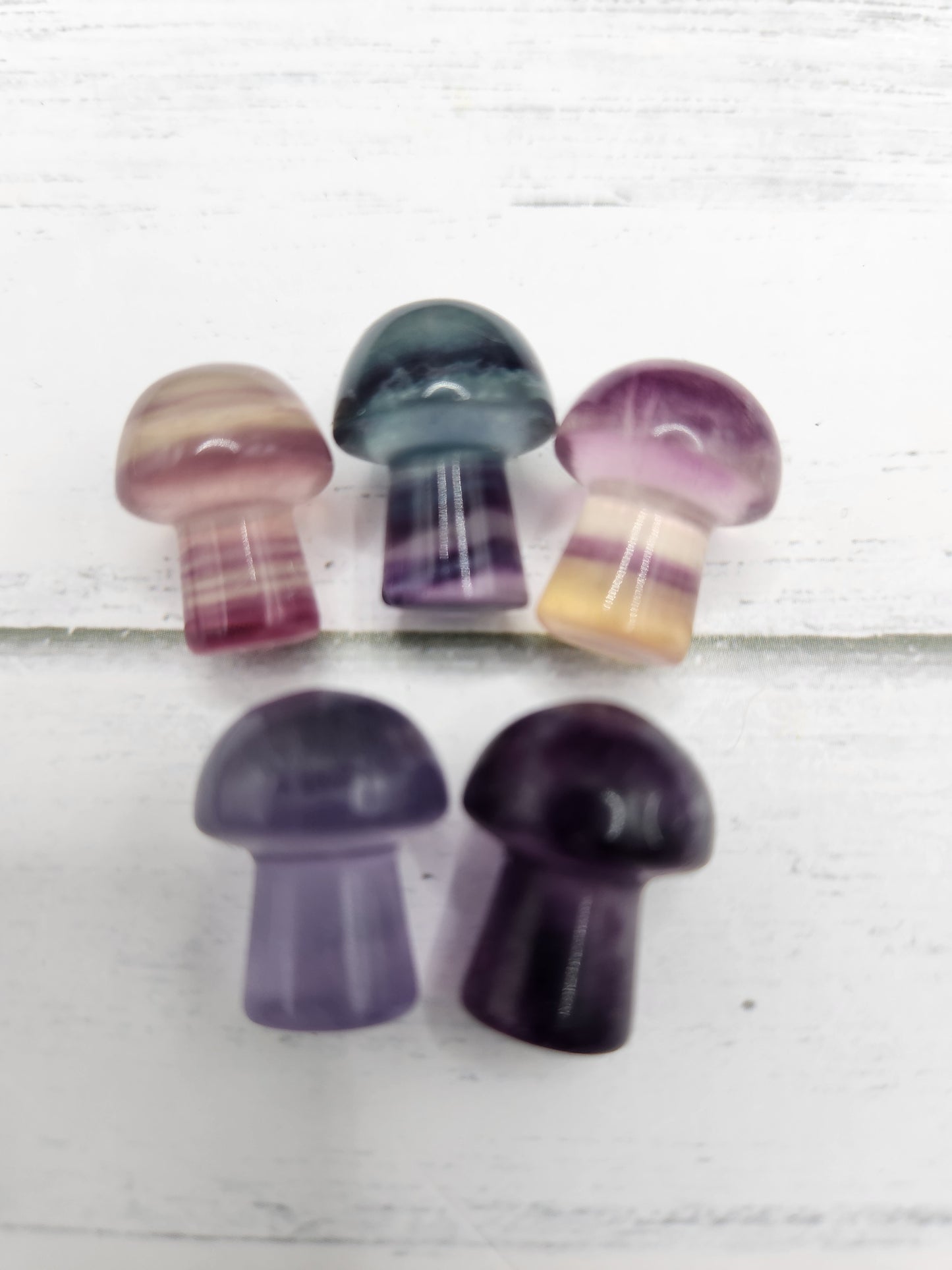 5 Mini Fluorite Mushroom Natural Carvings