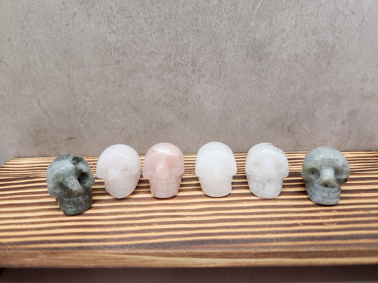 Mixed Material Natural Crystal Mini Skull Carvings