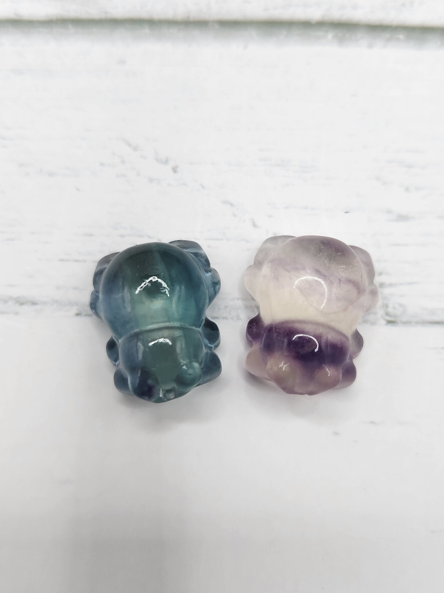 Mini Fluorite Jumping Spider  Natural Carvings