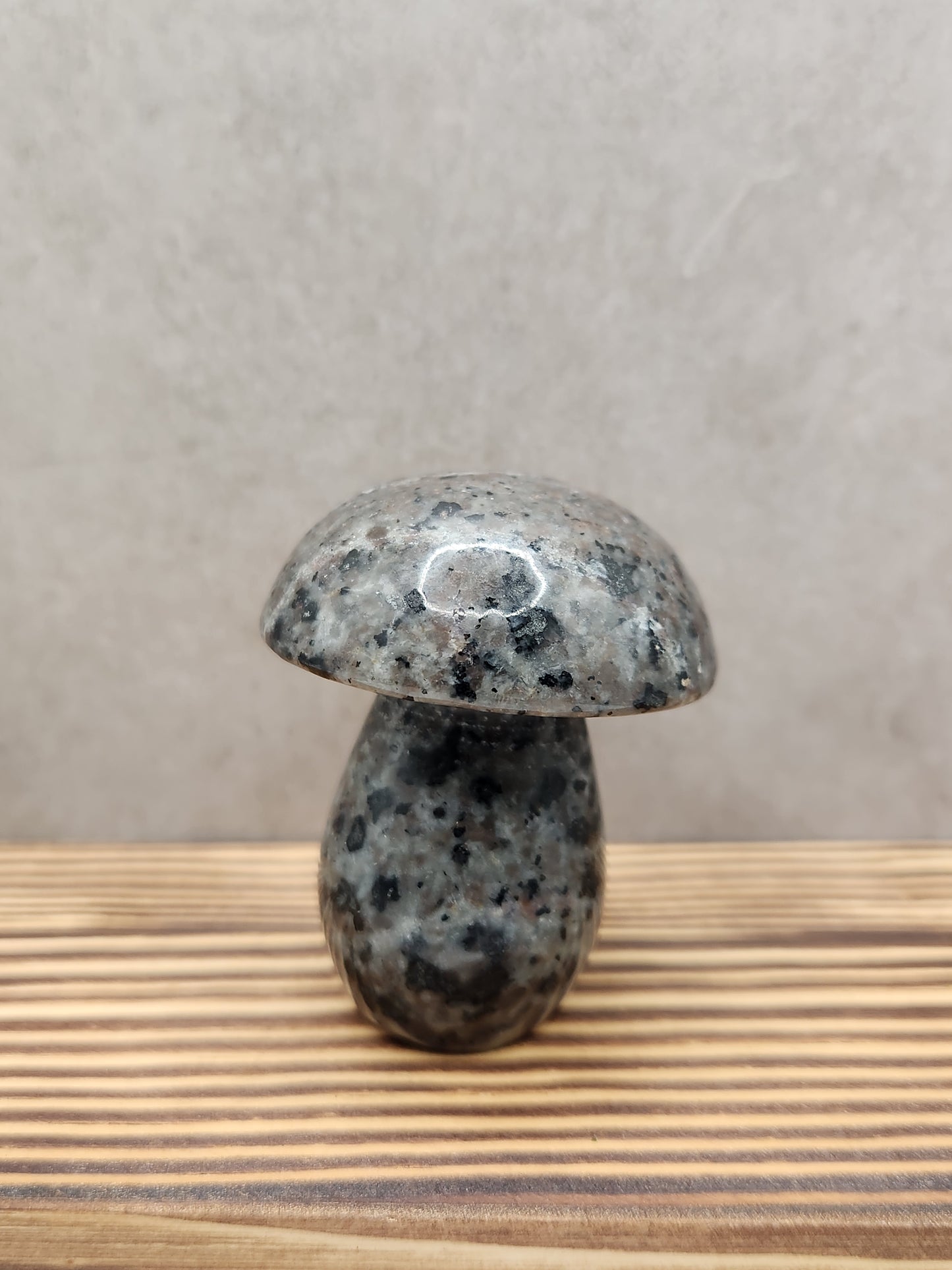 Yooperlite Natural Crystal Mushroom Carving