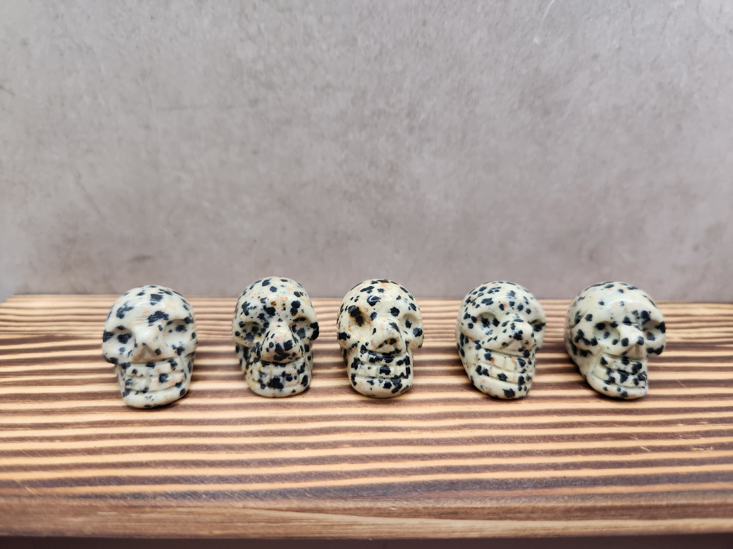 5 Dalmation Jasper Natural Crystal Mini Skull Carvings